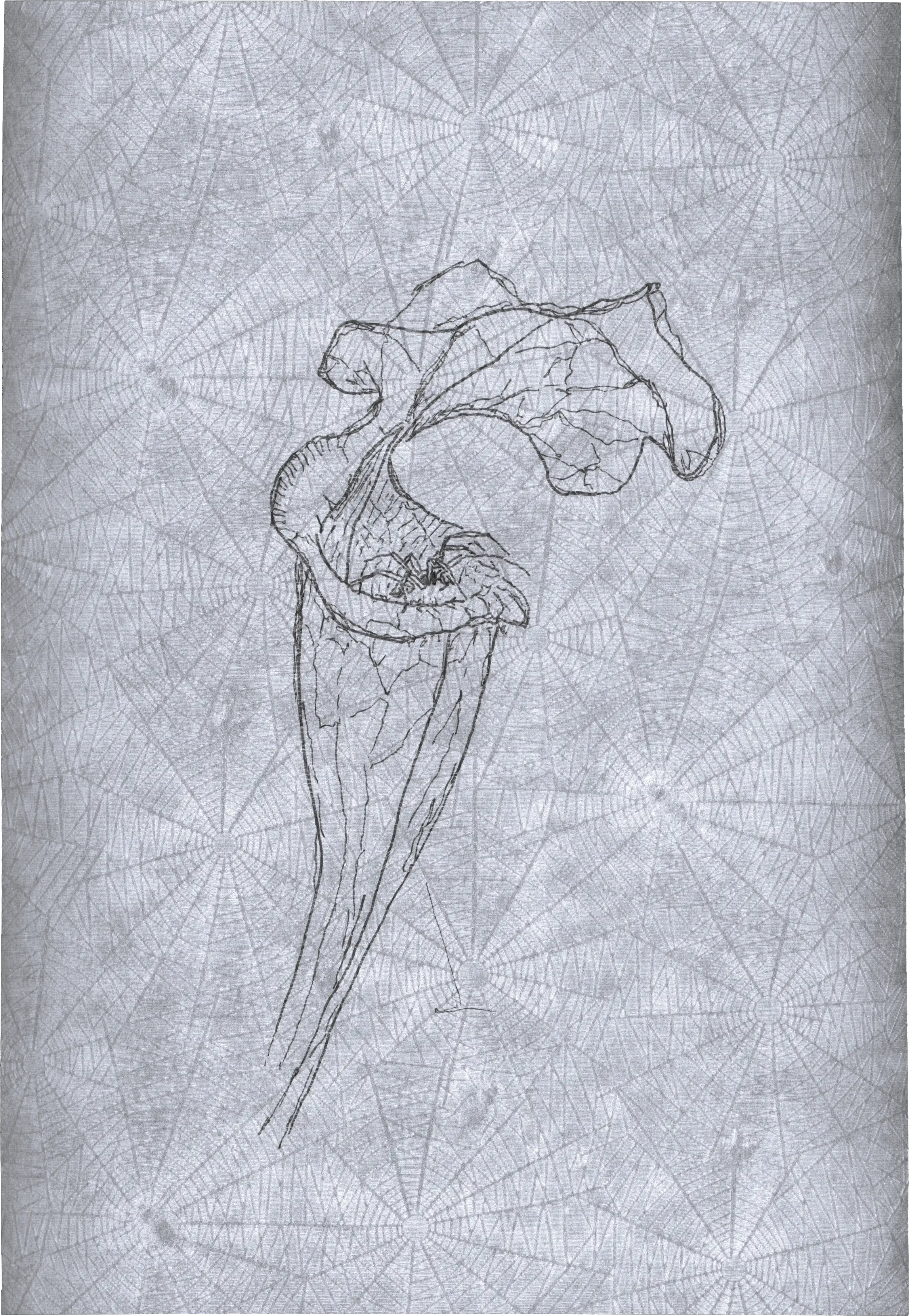 Appeal to Nature