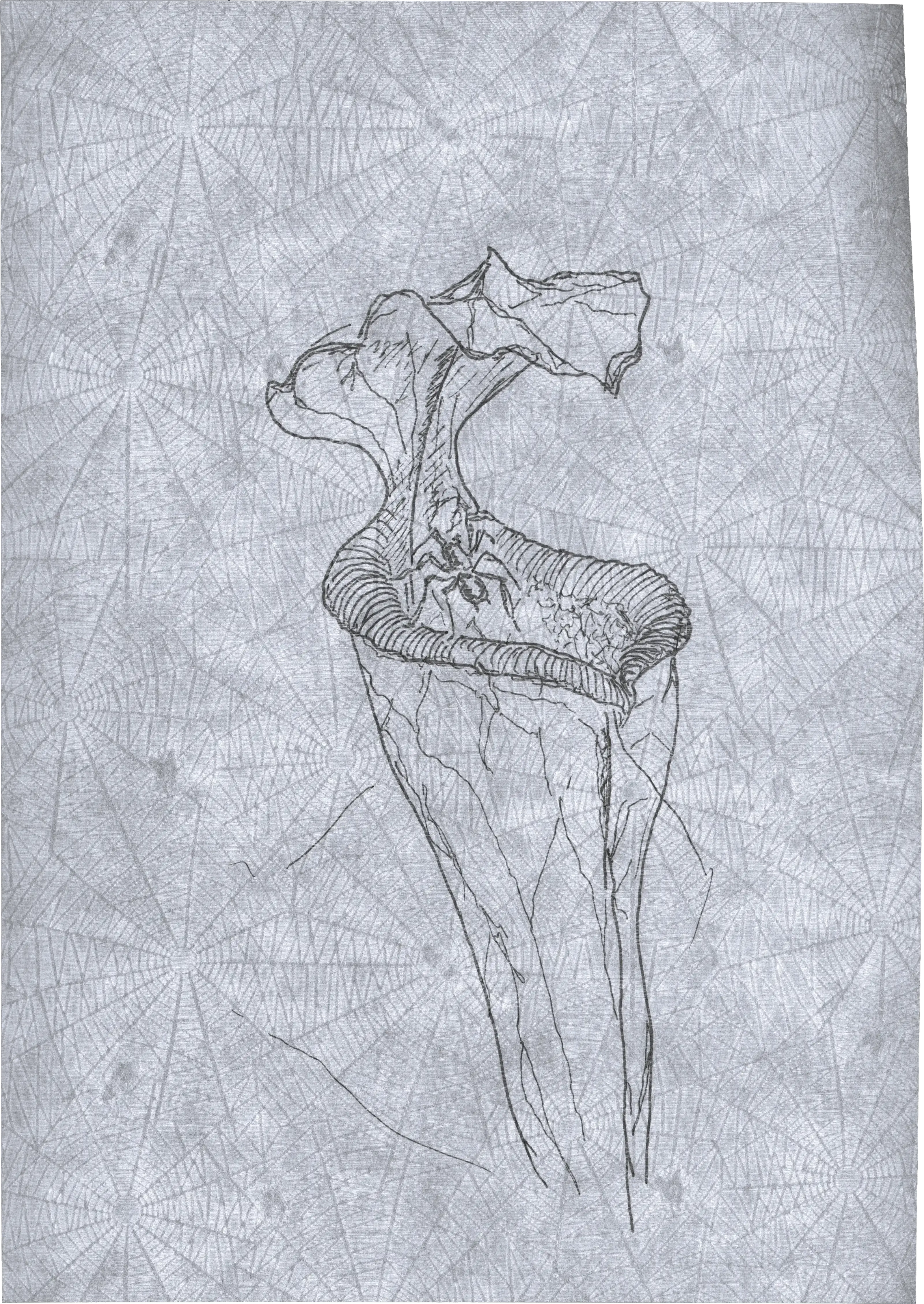 Appeal to Nature