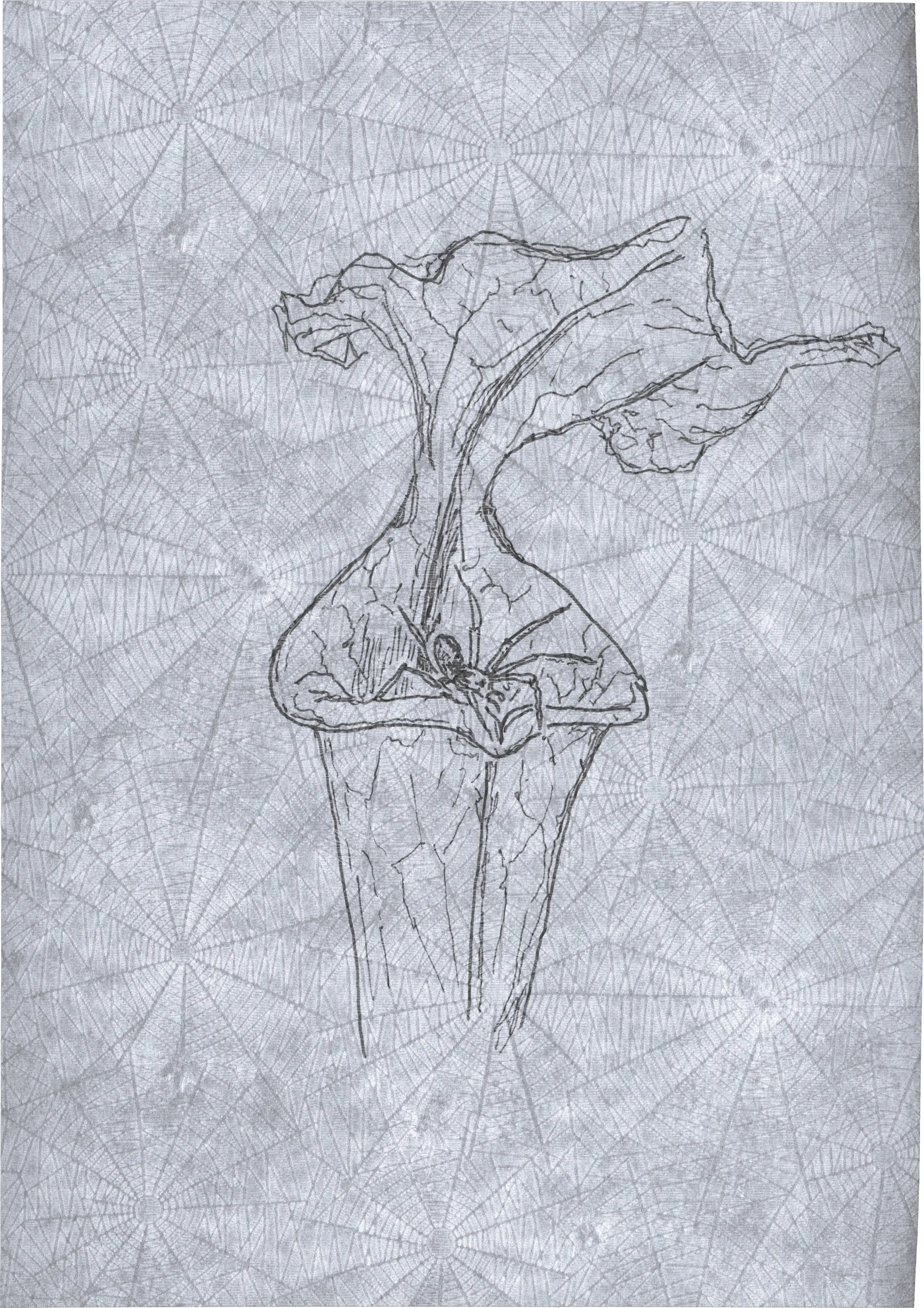 Appeal to Nature