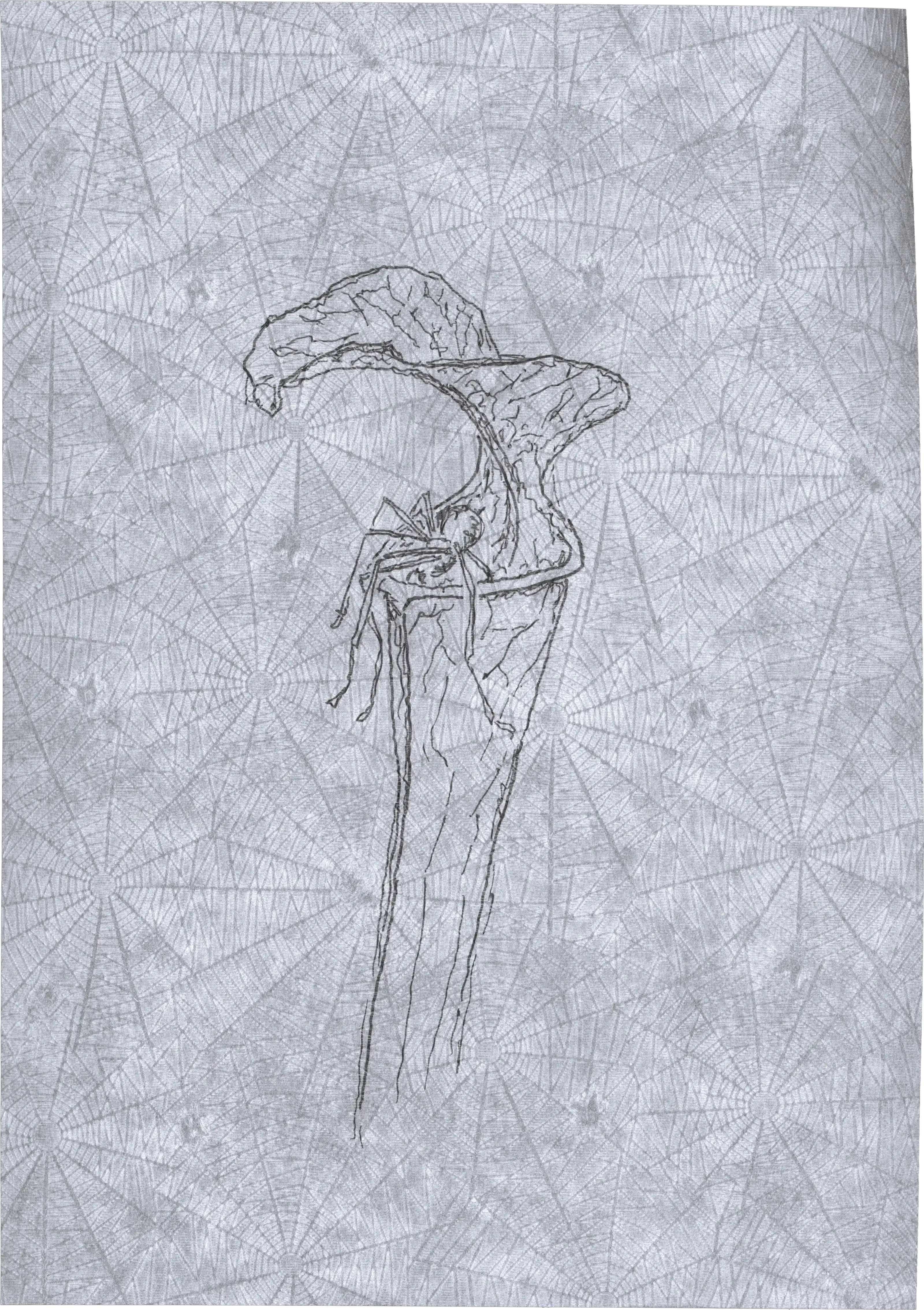 Appeal to Nature