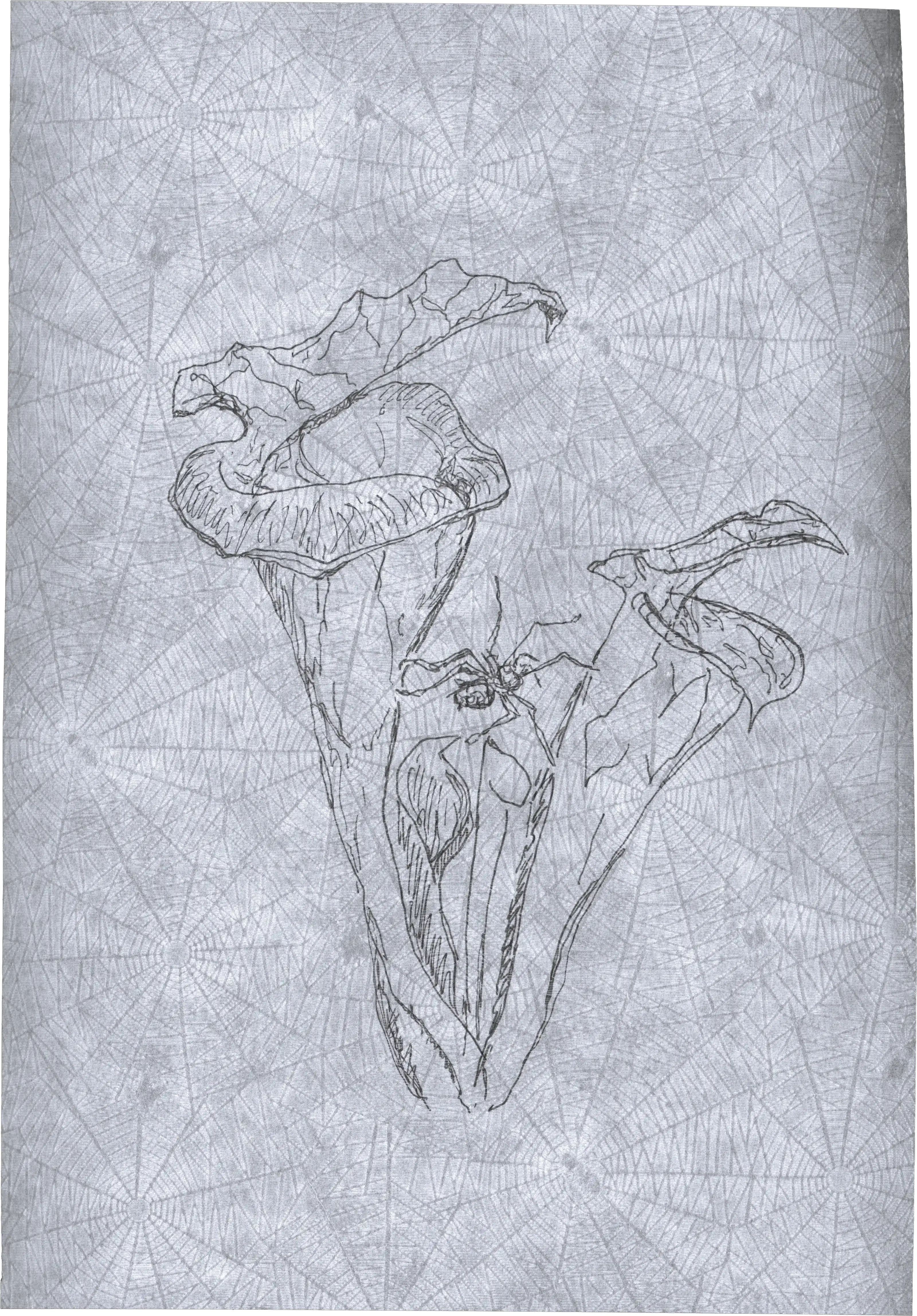 Appeal to Nature