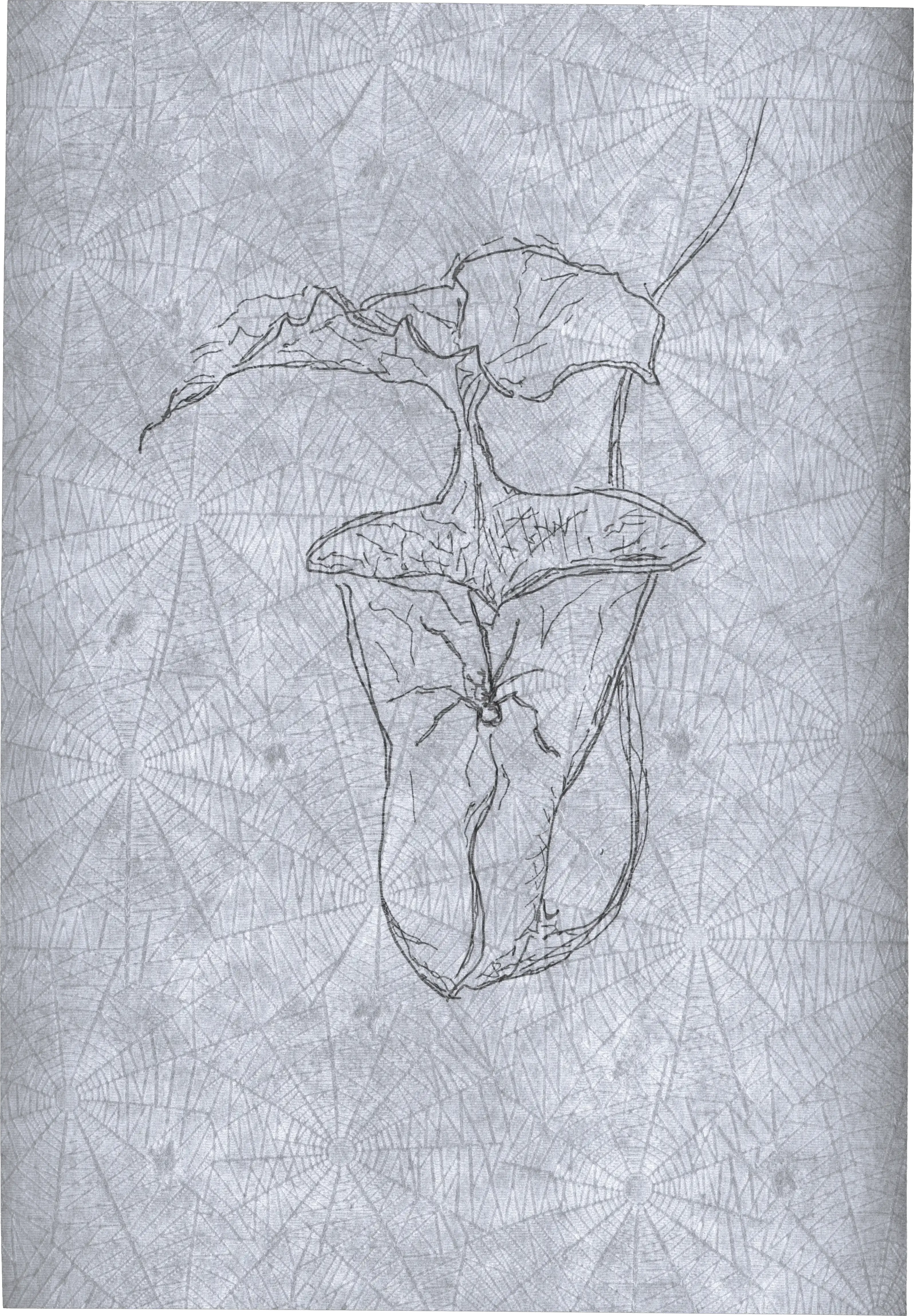 Appeal to Nature