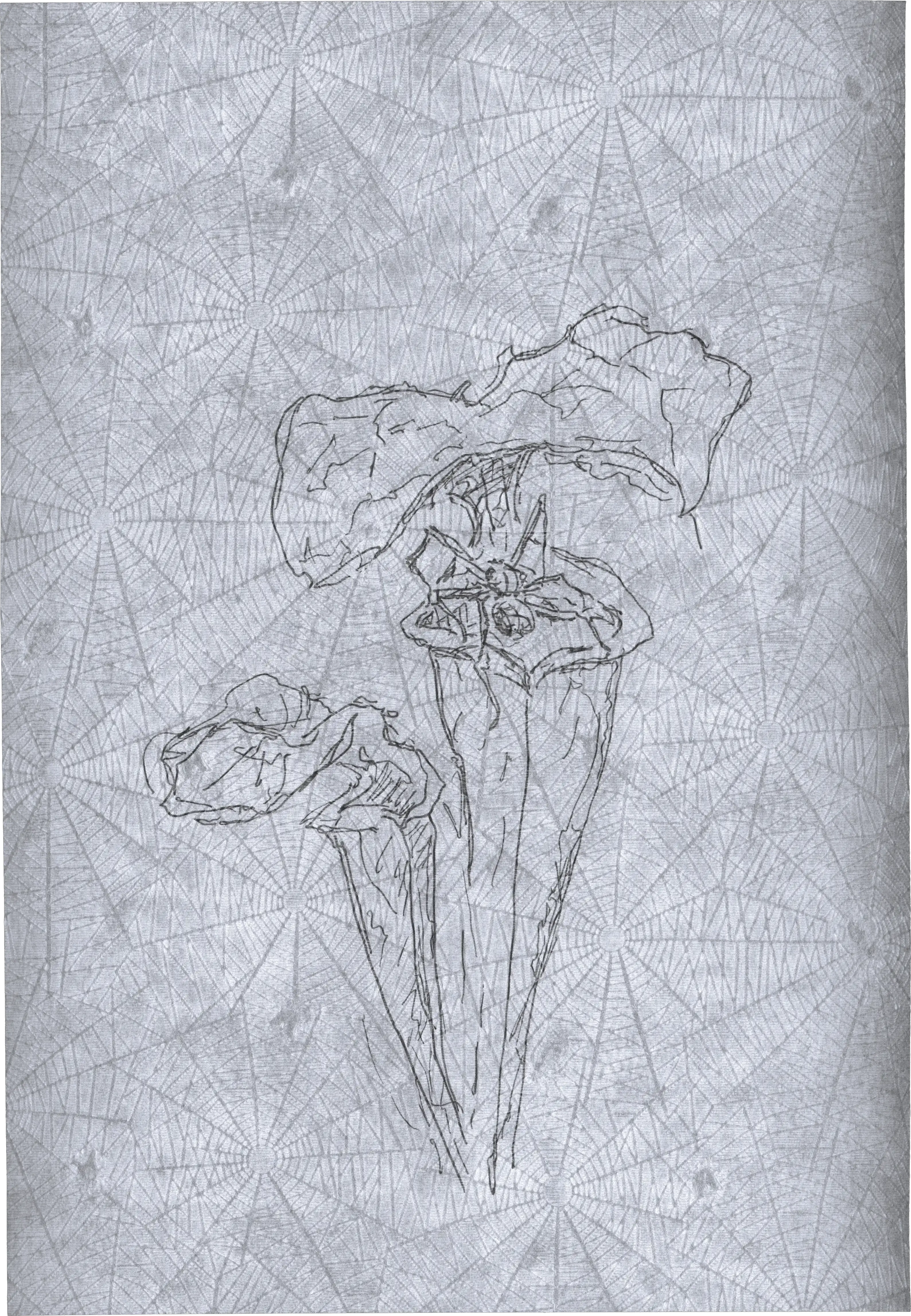 Appeal to Nature