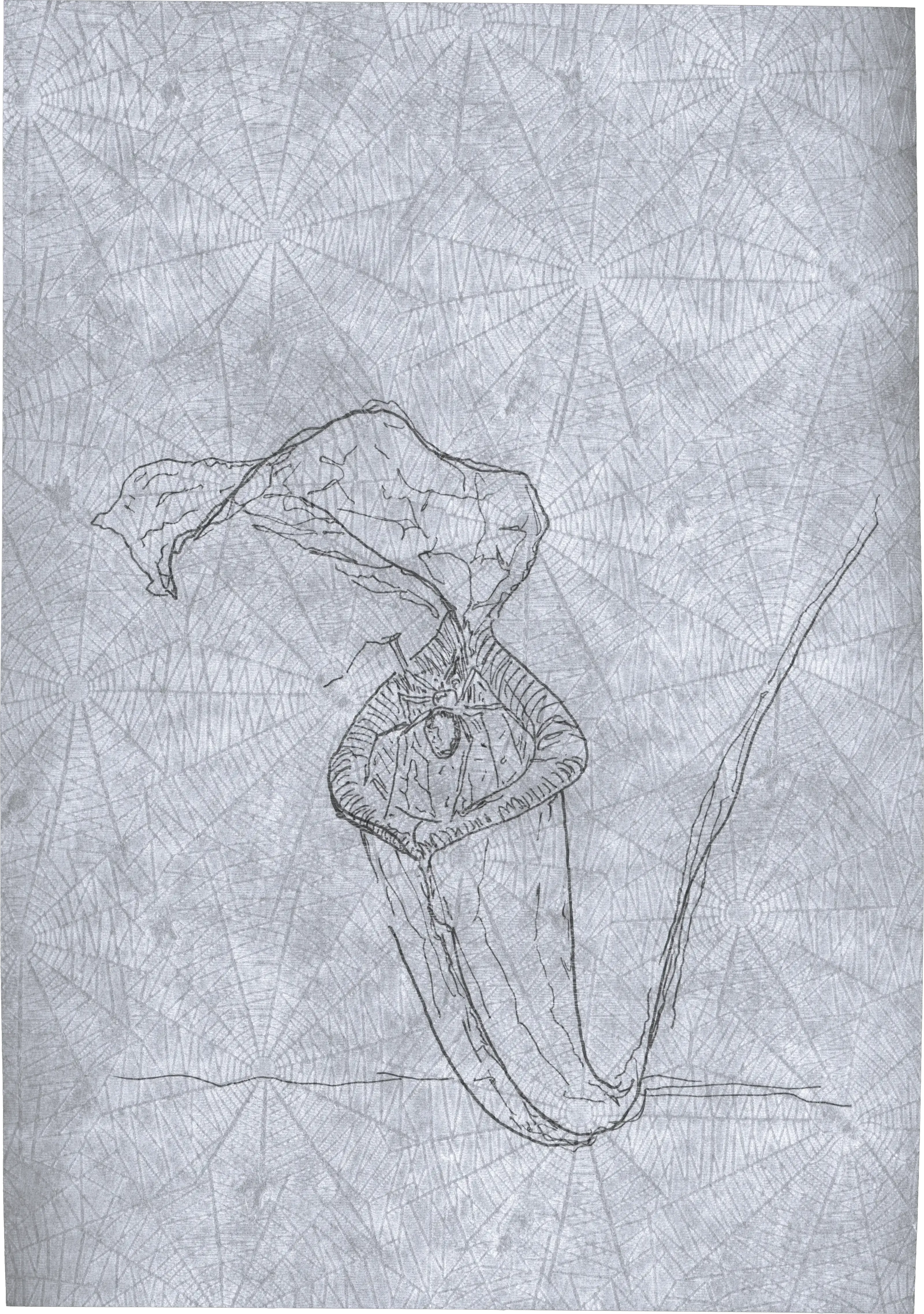 Appeal to Nature