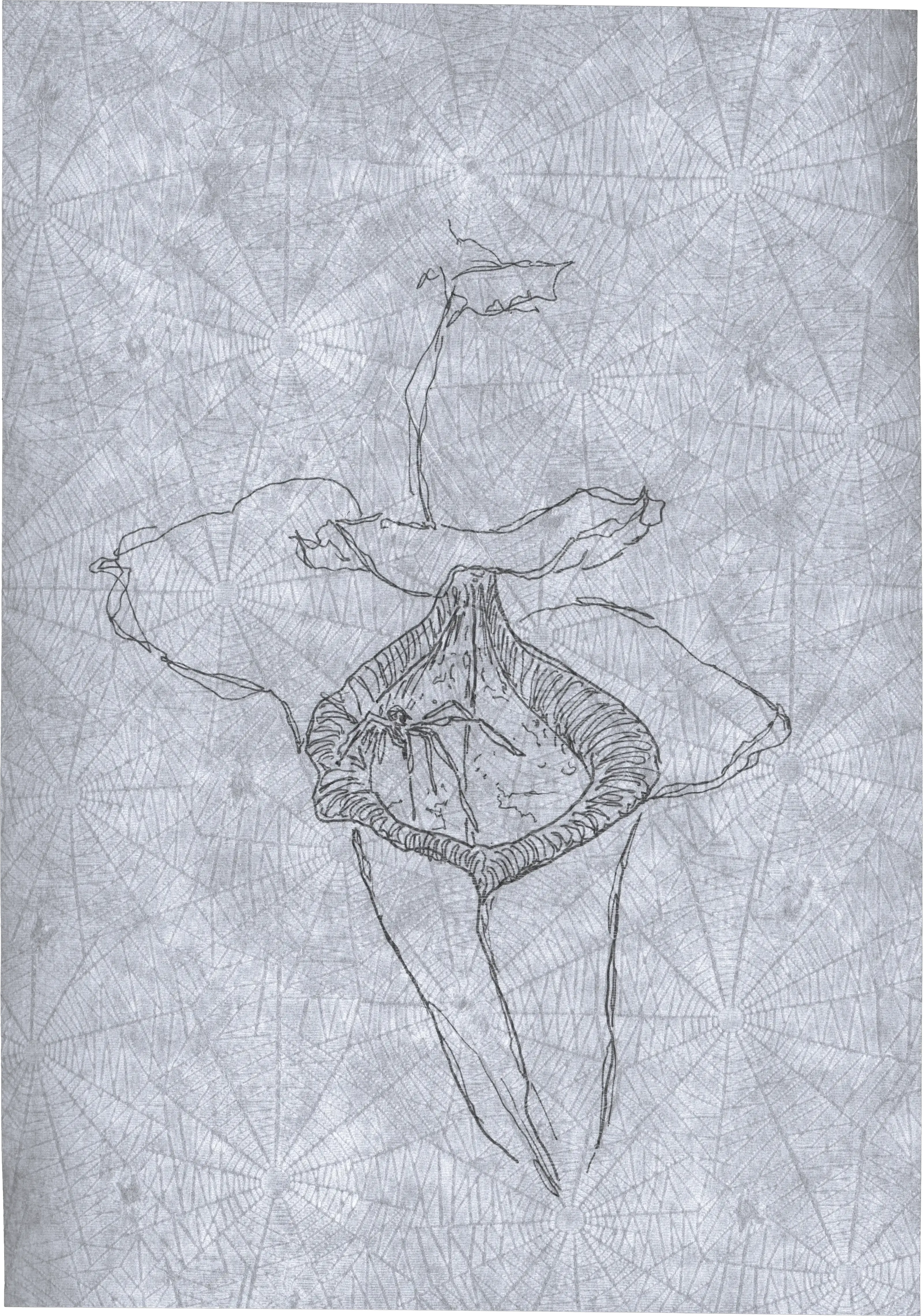Appeal to Nature
