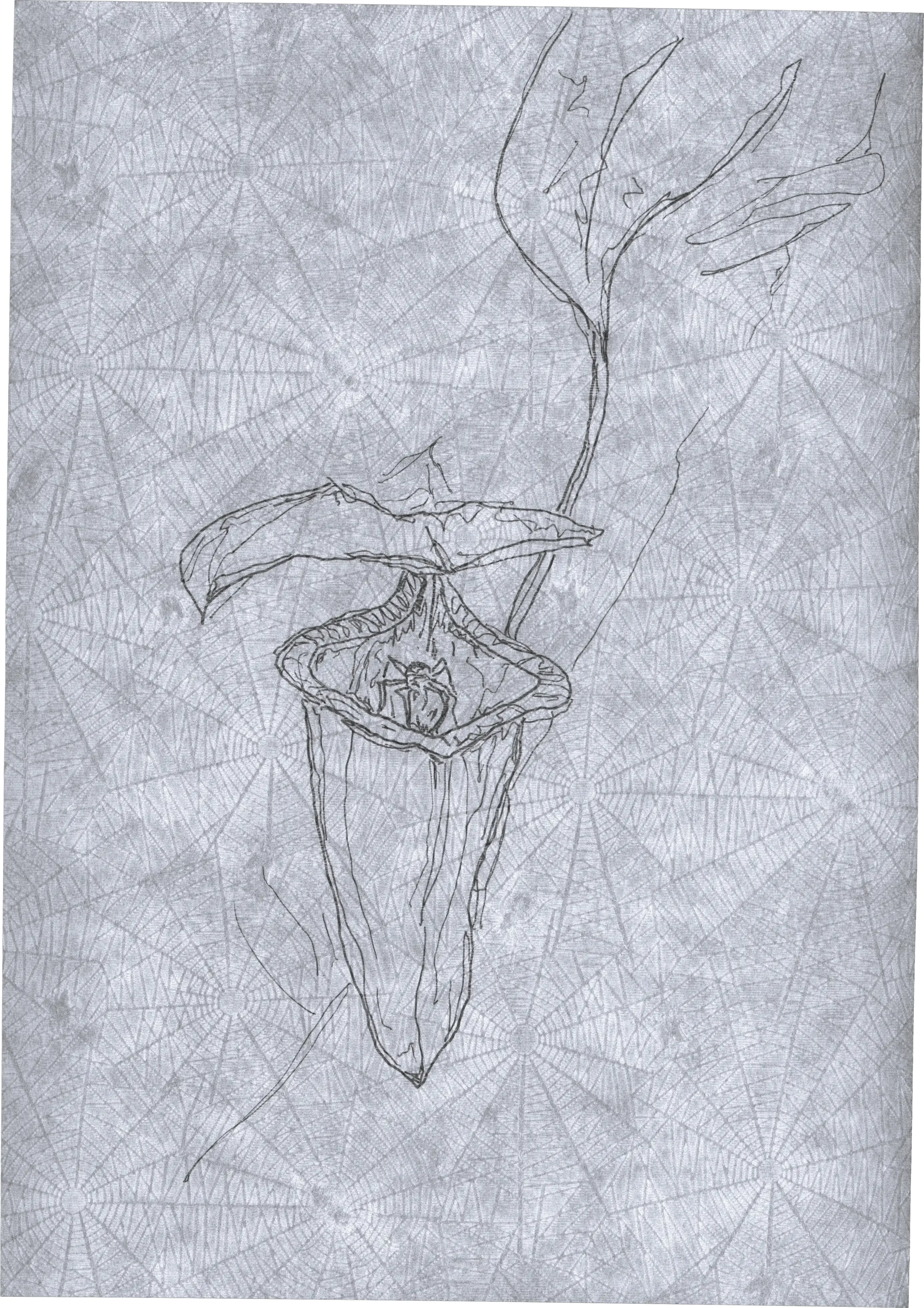 Appeal to Nature