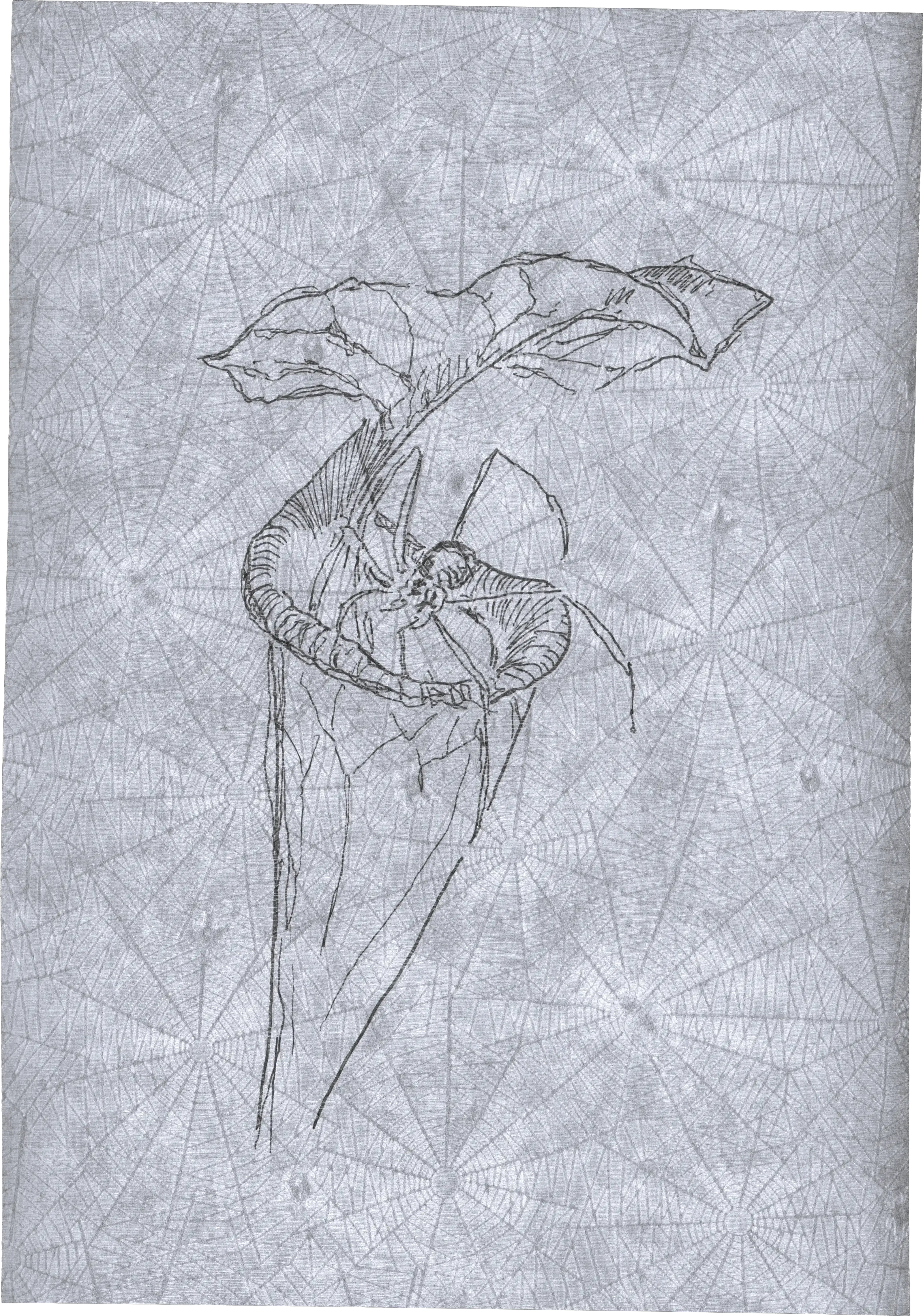 Appeal to Nature
