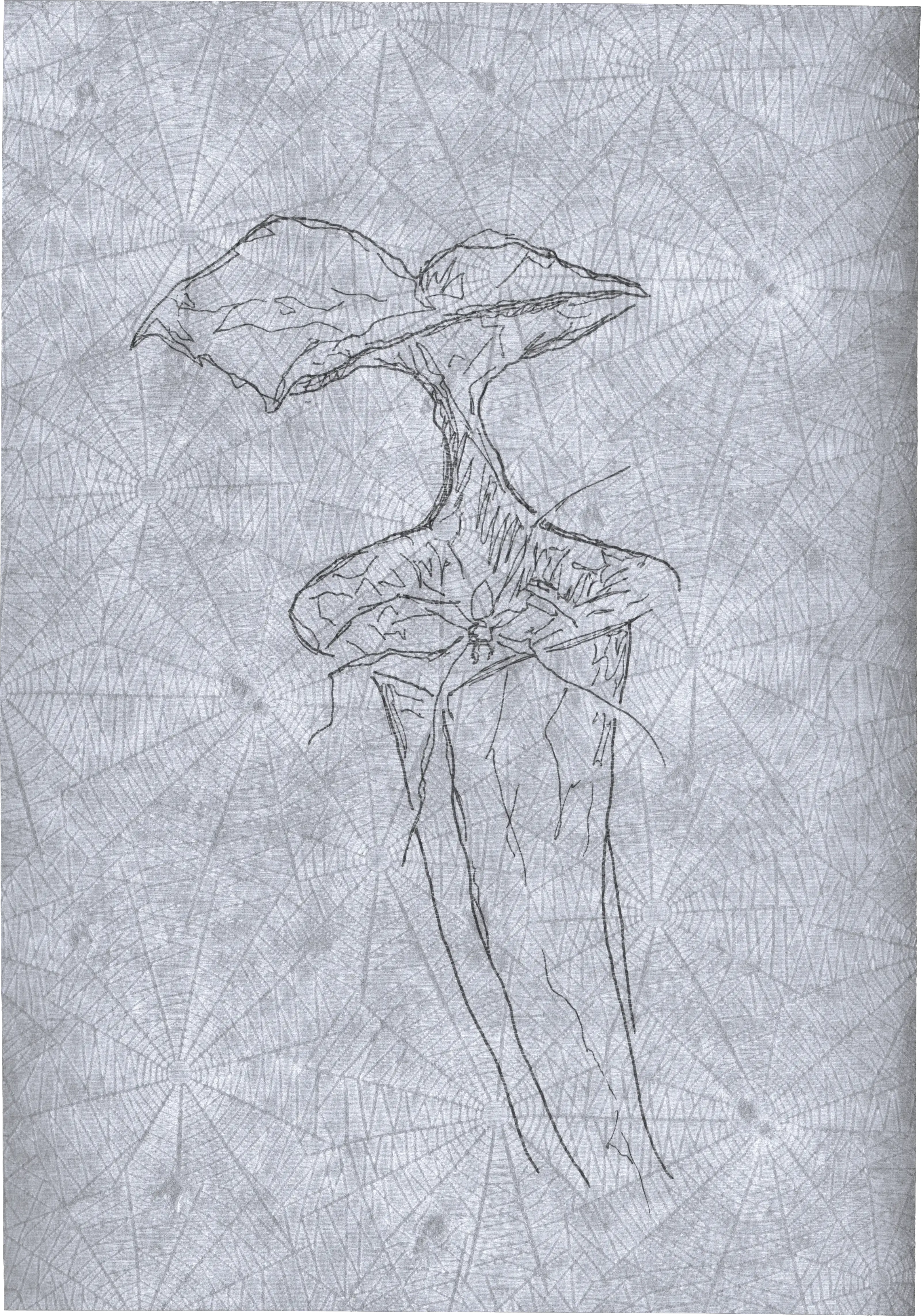 Appeal to Nature