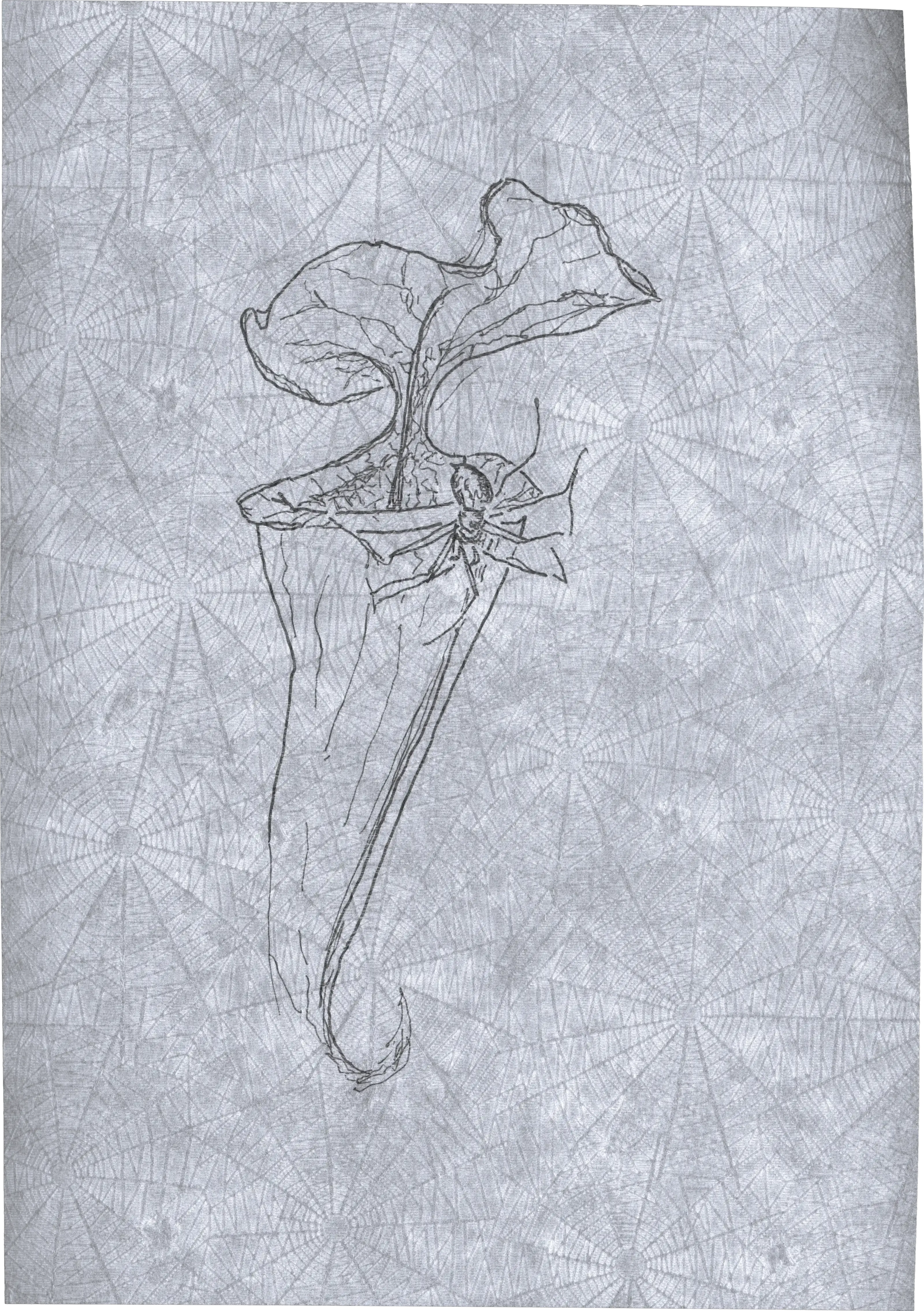 Appeal to Nature